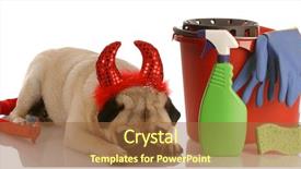  Presentation with devil - Amazing slide deck having bad dog - pug dressed backdrop and a tawny brown colored foreground