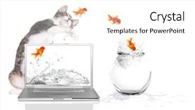  Presentation with goldfish - PPT layouts consisting of bad kitty pawing at goldfish background and a white colored foreground