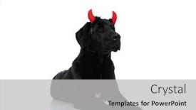  Presentation with devil - Slide deck featuring bad-labrador-retriever-dog-wearing background and a light gray colored foreground