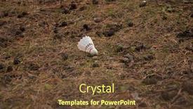  Presentation with badminton - Presentation theme with badminton-shuttlecock-on-the-ground background and a tawny brown colored foreground