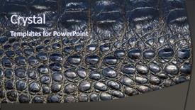  Presentation with crocodile - Presentation design featuring bag accesoris - crocodile leather texture background and a  colored foreground