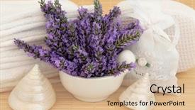  Presentation with bamboo flower - Audience pleasing PPT theme consisting of couple sitting on a bench on coast of river note visible grain at 100 best at smaller sizes backdrop and a light gray colored foreground