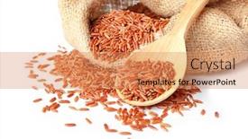  Presentation with cargo - PPT layouts featuring bag and spoon with red cargo rice on white background background and a coral colored foreground