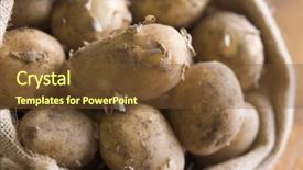  Presentation with royal poinciana - Colorful PPT layouts enhanced with bag of jersey royal potatoes backdrop and a tawny brown colored foreground