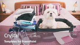  Presentation with bag iv fluid - Amazing presentation having bag wearing sunglasses and waiting backdrop and a violet colored foreground