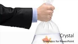  Presentation with plastic bag - Colorful slide deck enhanced with bag with a golden fish backdrop and a white colored foreground