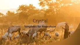  Presentation with myanmar bagan - 