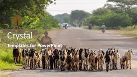  Presentation with myanmar bagan - 