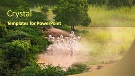  Presentation with myanmar bagan - Slide set with bagan-myanmar-old-roads background and a tawny brown colored foreground