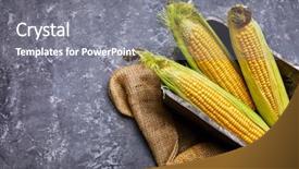  Presentation with concrete pouring during commercial concreting - Cool new presentation design with bags cement - corn in wooden basket backdrop and a gray colored foreground