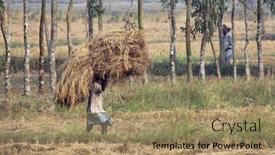  Presentation with shipping - 