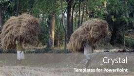  Presentation with shipping - 