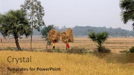  Presentation with shipping - 