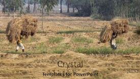  Presentation with shipping - 