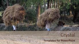  Presentation with shipping - 