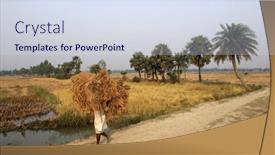  Presentation with shipping - 