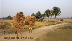  Presentation with shipping - 