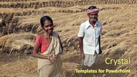  Presentation with rice field - 