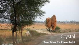  Presentation with shipping - 