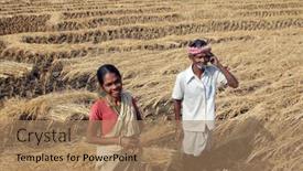  Presentation with rice field - 
