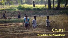  Presentation with rice field - 