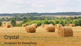  Presentation with hay field - Presentation theme consisting of bail - hay stacks in autumn field background and a gold colored foreground
