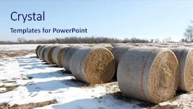  Presentation with hay field - Cool new presentation theme with bails of hay on snowy field backdrop and a sky blue colored foreground