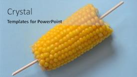 Presentation with corn cob - Beautiful slides featuring baked-maize-corn-cob backdrop and a light blue colored foreground