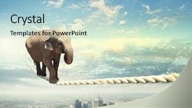  Presentation with high fidelity - Presentation design consisting of balance power - image of elephant walking background and a  colored foreground