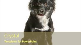  Presentation with balck - 