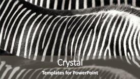  Presentation with balck - Beautiful slides featuring balck designs - zebra stripes abstract background close-up backdrop and a dark gray colored foreground