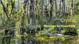  Presentation with summer trees - Presentation theme having bald-cypress-trees-reflecting background and a tawny brown colored foreground