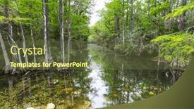  Presentation with summer trees - Slide set featuring bald-cypress-trees-reflecting background and a tawny brown colored foreground