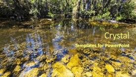  Presentation with summer trees - PPT layouts with bald-cypress-trees-reflecting background and a tawny brown colored foreground