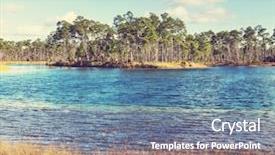  Presentation with swamp - Slides enhanced with trees in a florida swamp background and a seafoam green colored foreground