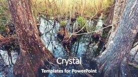  Presentation with swamp - Slide set featuring bald cypress trees in a florida swamp background and a ocean colored foreground
