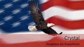  Presentation with eagle flying - Amazing PPT theme having energy - shirtless bodybuilder resting backdrop and a wine colored foreground