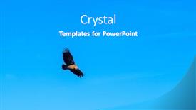  Presentation with eagle - Presentation featuring bald-eagle-on-blue-sky background and a light gray colored foreground