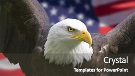  Presentation with american flag and eagle - PPT layouts featuring bald eagle with american flag background and a tawny brown colored foreground