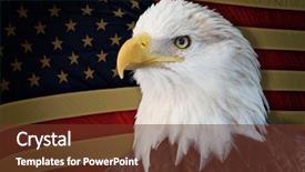  Presentation with american flag and eagle - PPT theme enhanced with bald eagle with grungy old background and a tawny brown colored foreground