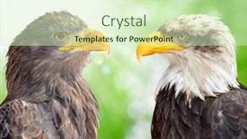  Presentation with eagle - 