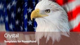  Presentation with american flag and eagle - Audience pleasing slides consisting of bald eagle with the american backdrop and a tawny brown colored foreground