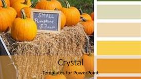  Presentation with christmas sale christmas products - Colorful slide deck enhanced with bales in a colour palette backdrop and a gold colored foreground