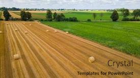  Presentation with country photo - Amazing presentation theme having bales-of-hay backdrop and a gold colored foreground