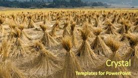  Presentation with nepal - Slide deck featuring bales-of-straw-in-nepal background and a tawny brown colored foreground