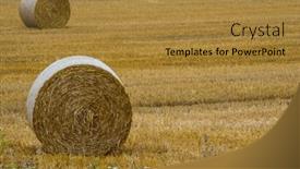  Presentation with agriculture field - Presentation design enhanced with bales-of-straw background and a gold colored foreground