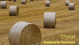  Presentation with agriculture field - Presentation consisting of bales-of-straw background and a tawny brown colored foreground