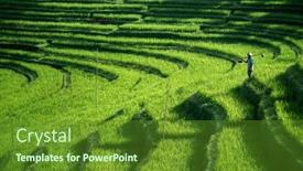  Presentation with rice paddy - PPT theme consisting of bali-april-12-2014 background and a tawny brown colored foreground