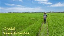  Presentation with crop - 