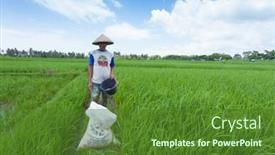  Presentation with crop - 